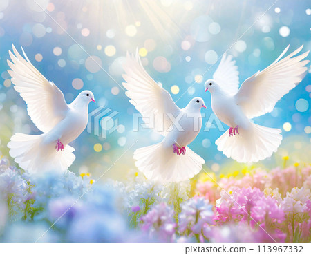 Three white doves soaring in the blue sky in a colorful spring flower field Three white doves soaring in the blue sky in a colorful spring flower field 113967332