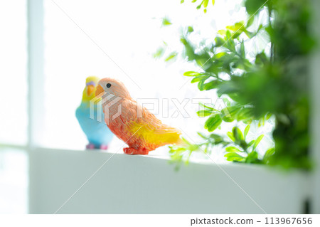 擁抱的昆蟲爬走了 113967656