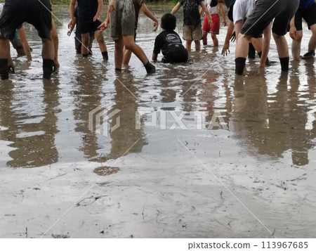 孩子們在泥巴里玩耍 孩子們在泥巴里玩耍 113967685