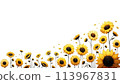 Butterfly and sunflower frame 113967831
