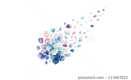 Cute hydrangea illustration Cute hydrangea illustration 113967832