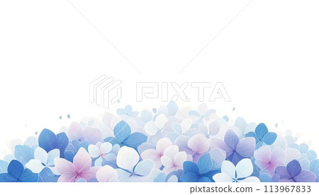 水彩畫的繡球花的插圖框架 113967833