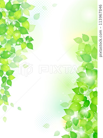 清爽清新的綠框背景 清爽清新的綠框背景 113967846