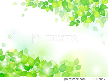 清爽清新的綠框背景 113967847