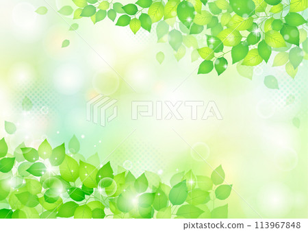 Refreshing new green frame background 113967848