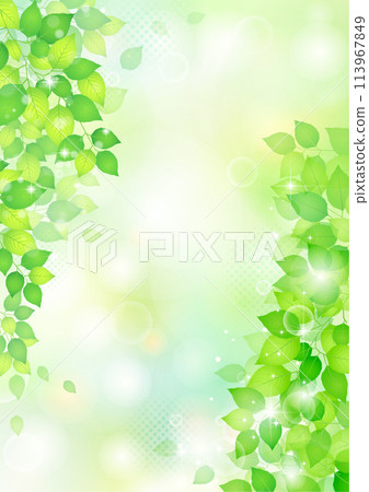 Refreshing new green frame background 113967849