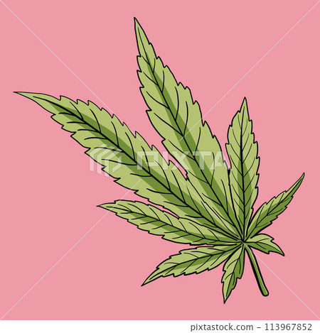 Simplicity cannabis leaf freehand drawing flat design. 113967852