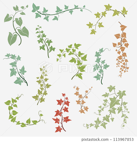 Floral ivy drawing decorative ornament flat design collection. 113967853