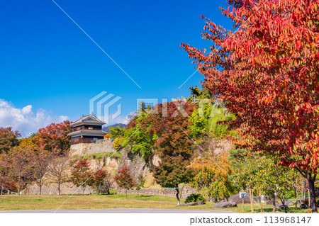 [長野縣] 上田城跡公園 城內秋葉 113968147