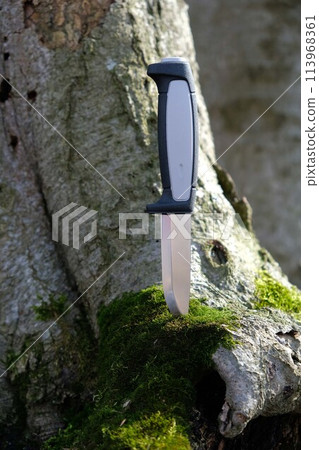 Scandinavian knife in the forest on a wooden background Scandinavian knife in the forest on a wooden background 113968361