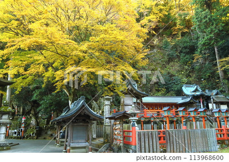 Hontakiji Temple in autumn 113968600