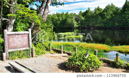 [Mountain Sign] Nagano Prefecture & Gunma Prefecture, Shiga Kogen, Shibuike (2013) 113968750