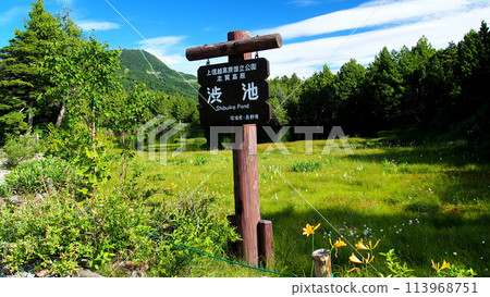 [Mountain Sign] Nagano Prefecture & Gunma Prefecture, Shiga Kogen, Shibuike (2013) 113968751