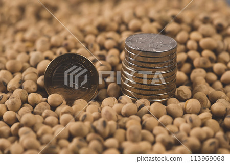 Dollars banknotes and coins and soy beans,oleaginous commoditi value concept. 113969068