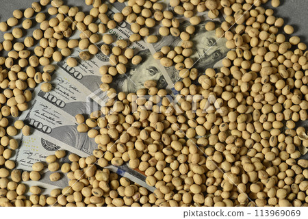 Dollars banknotes and coins and soy beans,oleaginous commoditi value concept. Dollars banknotes and coins and soy beans,oleaginous commoditi value concept. 113969069