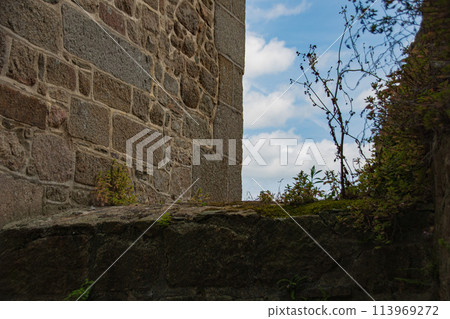 Scenery of Mont Saint-Michel, a World Heritage Site in France 113969272