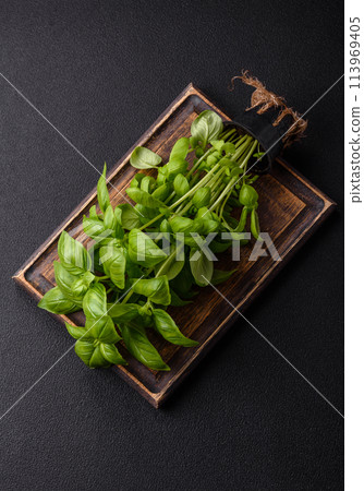 Fresh herbs basil in the form of a bush as an ingredient for cooking at home Fresh herbs basil in the form of a bush as an ingredient for cooking at home 113969405