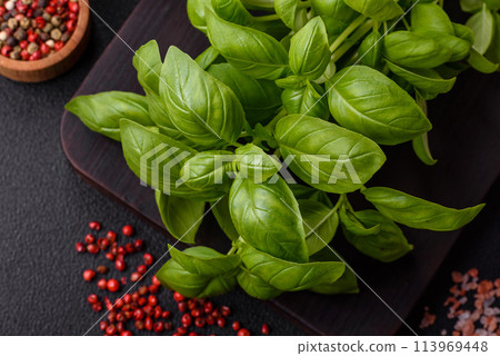 Fresh herbs basil in the form of a bush as an ingredient for cooking at home 113969448
