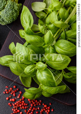 Fresh herbs basil in the form of a bush as an ingredient for cooking at home 113969449