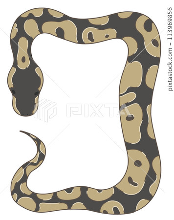 PERFECT BALL PYTHON著者直筆サイン入り 美品【送料無料】 Amazon.co.jp: ボールパイソン (見て楽しめる爬虫類・両生類