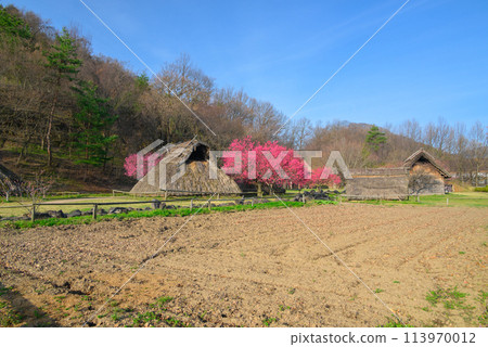 信濃裡歷史公園【千曲市】 信濃裡歷史公園【千曲市】 113970012