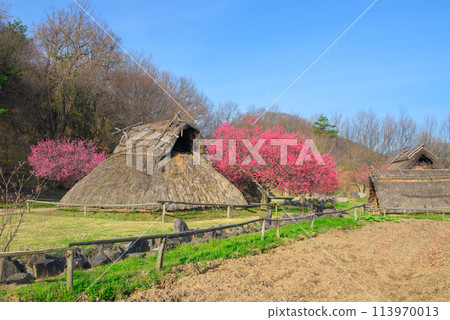 Shinanosato Historical Park [Chikuma City] 113970013