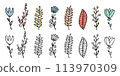 Cute hand drawn flowers and leaves, vector set 113970309