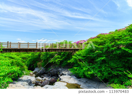 以春日明媚的天空為背景的仙水峽公園景觀「深山霧島」 阿蘇市 113970483
