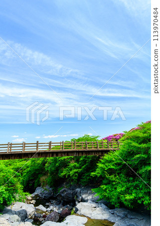 以春日明媚的天空為背景的仙水峽公園景觀「深山霧島」 阿蘇市 113970484