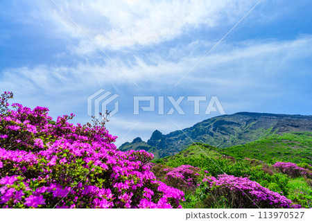 以晴朗的春日天空為背景的壯觀的自然風光“深山霧島”阿蘇市 以晴朗的春日天空為背景的壯觀的自然風光“深山霧島”阿蘇市 113970527