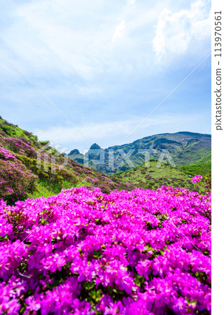 以晴朗的春日天空為背景的壯觀的自然風光“深山霧島”阿蘇市 113970561
