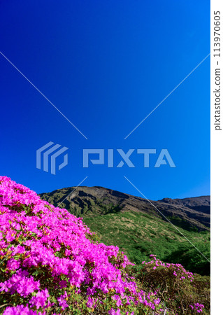 A magnificent view of nature against the backdrop of a clear spring sky - Sensuikyo Gorge scenery "Miyamakirishi (Sensuikyo Gorge)" Aso City 113970605