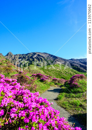 以晴朗的春日天空為背景的壯觀的自然風光“深山霧島”阿蘇市 以晴朗的春日天空為背景的壯觀的自然風光“深山霧島”阿蘇市 113970662