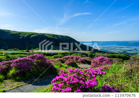 以晴朗的春日天空為背景的壯觀的自然風光“深山霧島”阿蘇市 以晴朗的春日天空為背景的壯觀的自然風光“深山霧島”阿蘇市 113970676