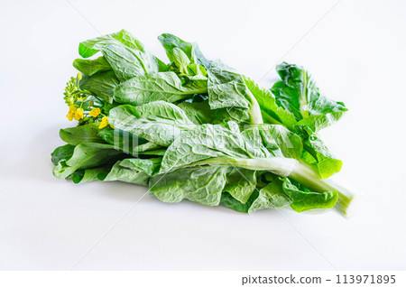 大白菜花 大白菜花 113971895