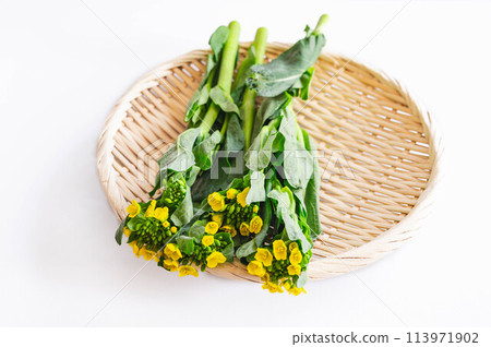 籃子裡放著兩種油菜花 113971902