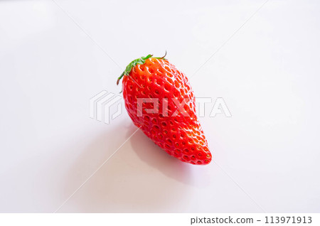 Ichigo Seishi 113971913