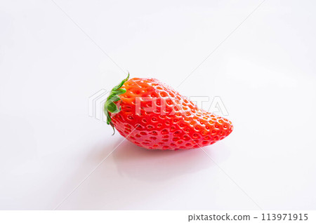 Ichigo Seishi Ichigo Seishi 113971915