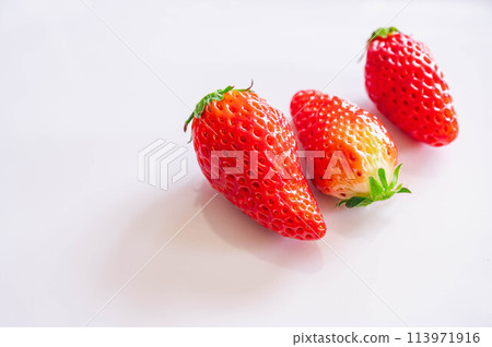Ichigo Seishi Ichigo Seishi 113971916