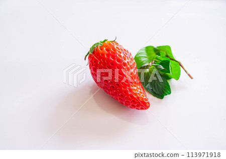 Strawberry Akihome 113971918