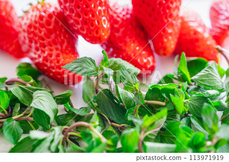 Peppermint leaves and strawberries Peppermint leaves and strawberries 113971919