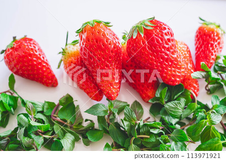 Strawberries and peppermint Strawberries and peppermint 113971921