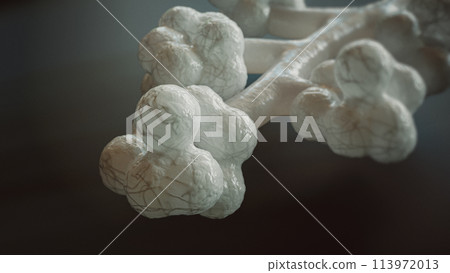 3D Rendering of Human Alveoli 113972013