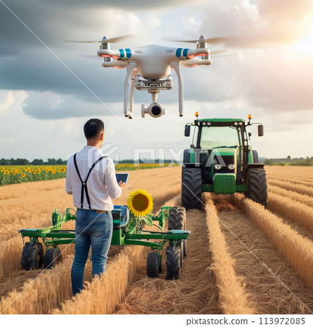 farmer in wheat field farmer in wheat field 113972085