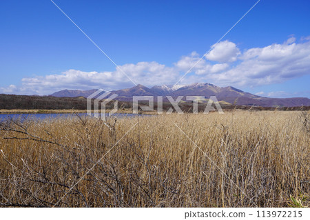Erimo Town's tragic swamp Erimo Town's tragic swamp 113972215