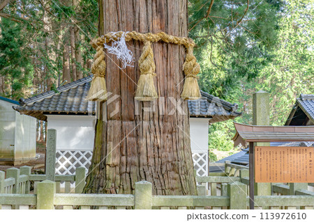 Omikejinja Shrine in Ako, Komagane City, Nagano Prefecture - Okagesugi Cedar 113972610