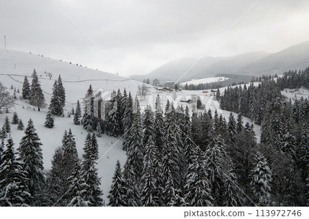 Aerial foggy landscape with evergreen pine trees covered with fresh fallen snow after heavy snowfall in winter mountain forest on cold quiet evening. Aerial foggy landscape with evergreen pine trees covered with fresh fallen snow after heavy snowfall in winter mountain forest on cold quiet evening. 113972746