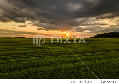 Aerial landscape view of green cultivated agricultural fields with growing crops on bright summer evening. Aerial landscape view of green cultivated agricultural fields with growing crops on bright summer evening. 113972844