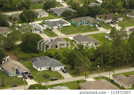Aerial landscape view of suburban private houses between green palm trees in Florida quiet rural area 113972907