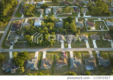 Aerial view of suburban landscape with private homes between green palm trees in Florida quiet residential area 113972927